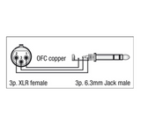 DAP Jack (stereo) > XLR female - 6 meter